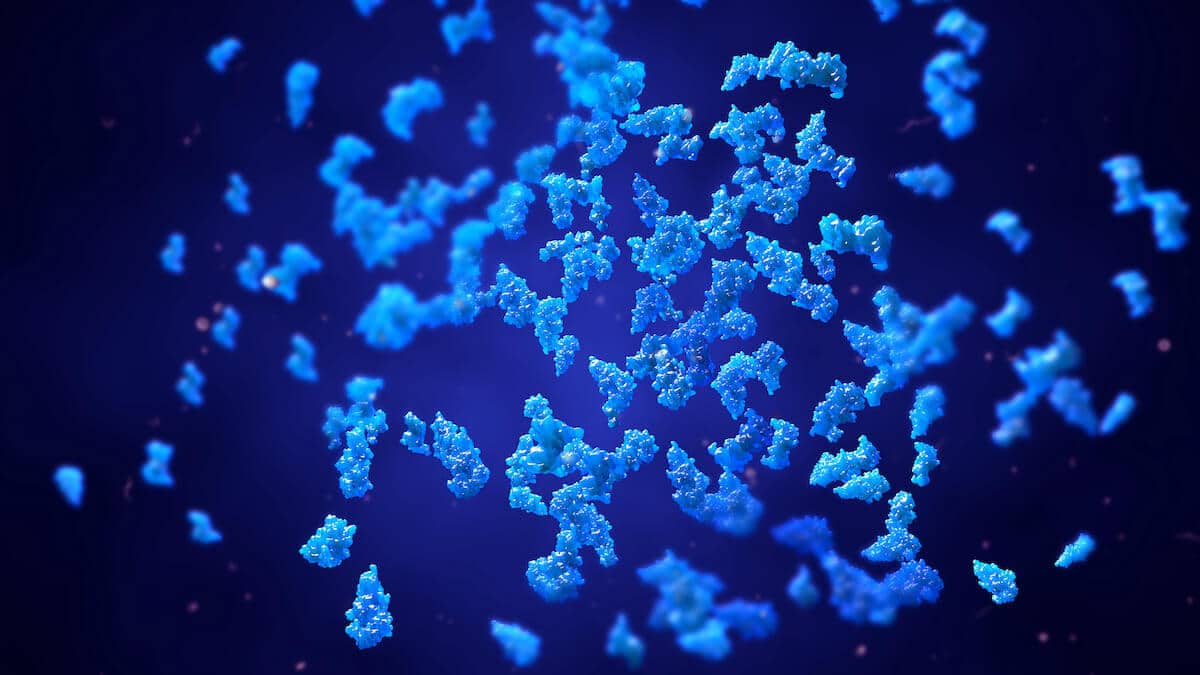 Protein hydrolysis: 3D illustration of protein and enzymes