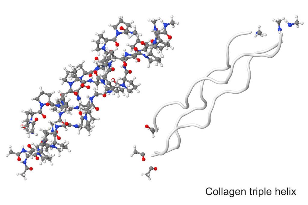 Hydrolyzed Collagen Understanding Its Potential Benefits