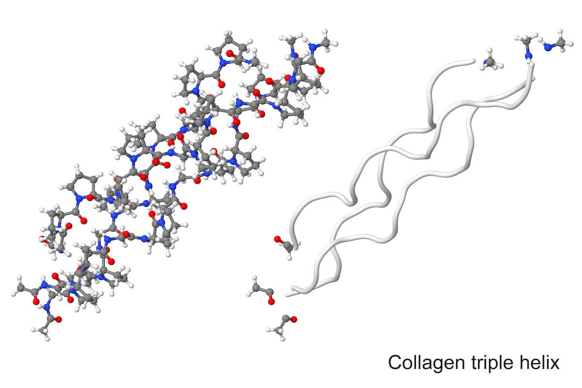 Hydrolyzed collagen helix