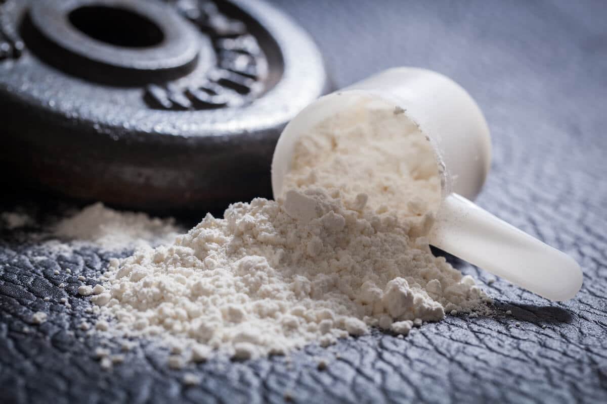 Are BCAAS worth it: scoop of whey powder