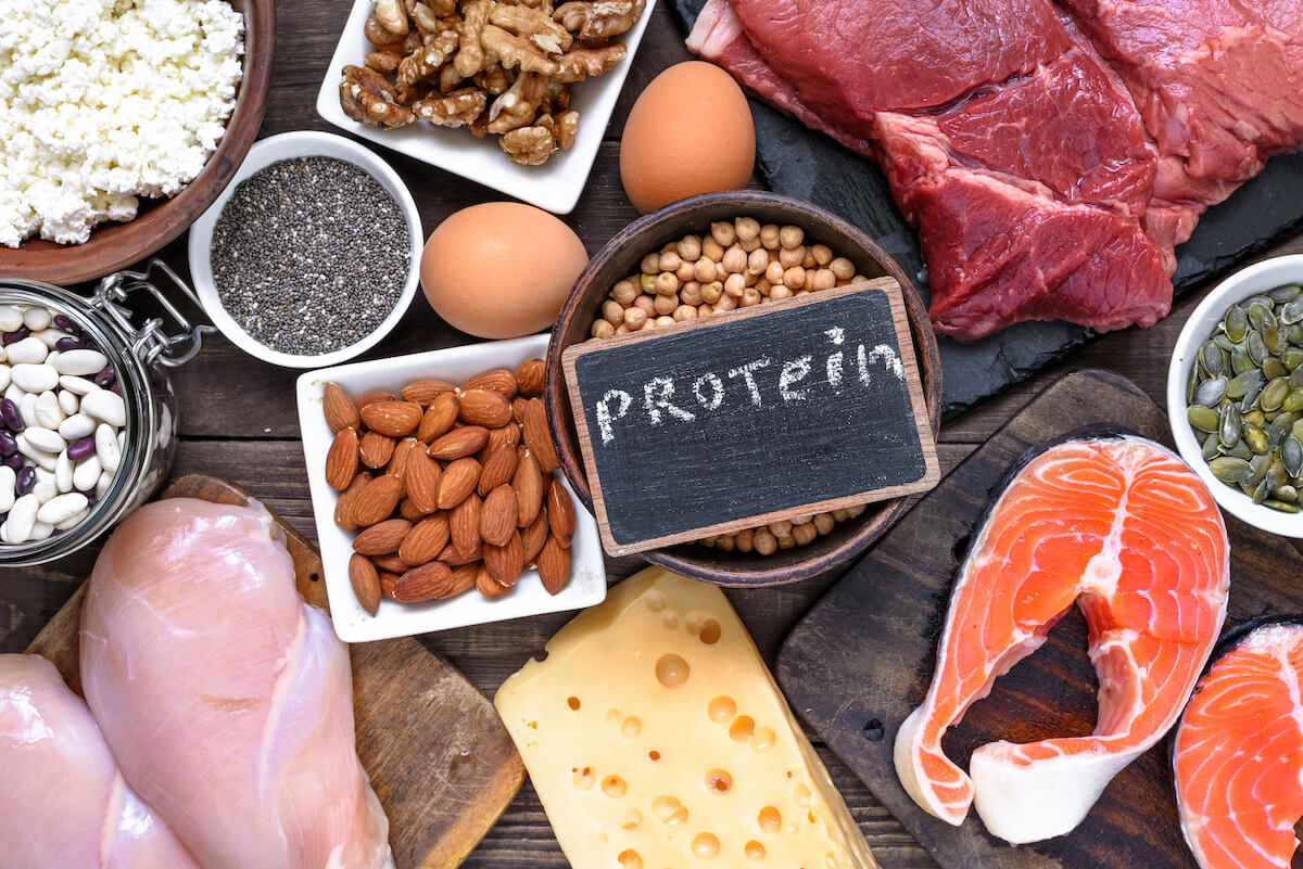 How long does it take to build muscle: various protein sources