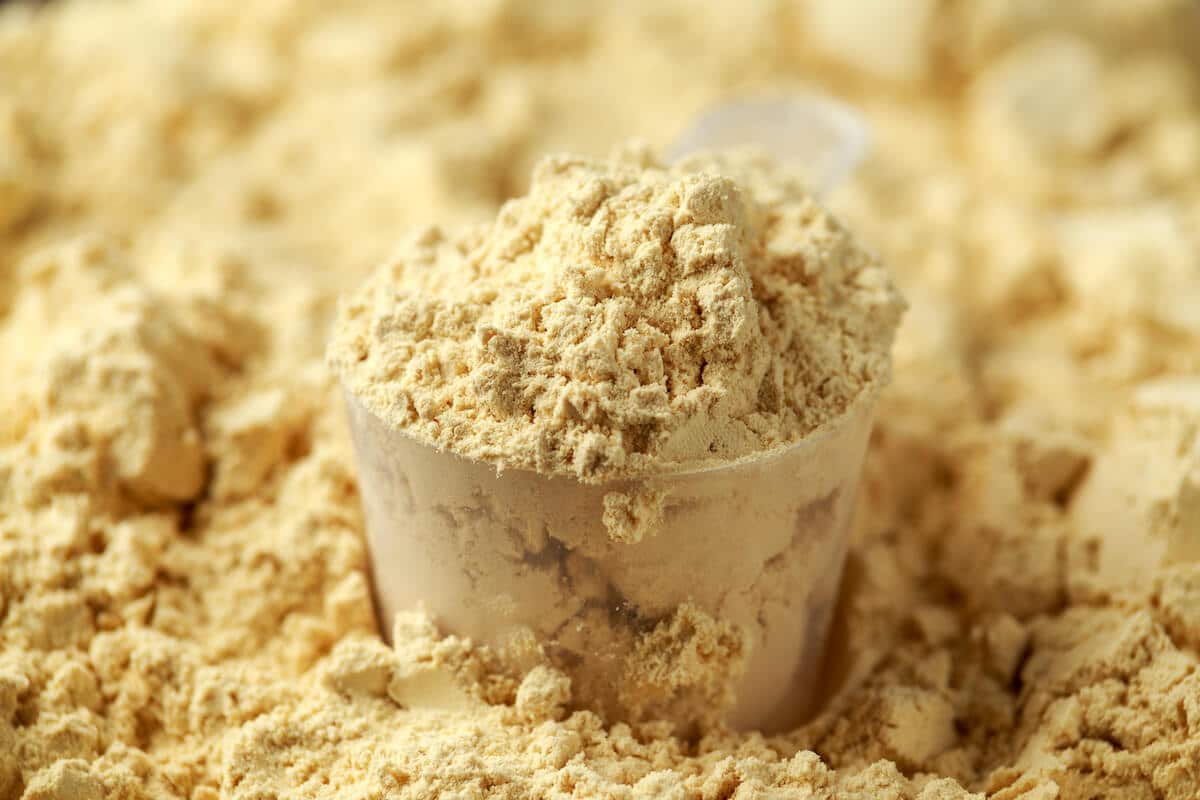 Vegan protein powder