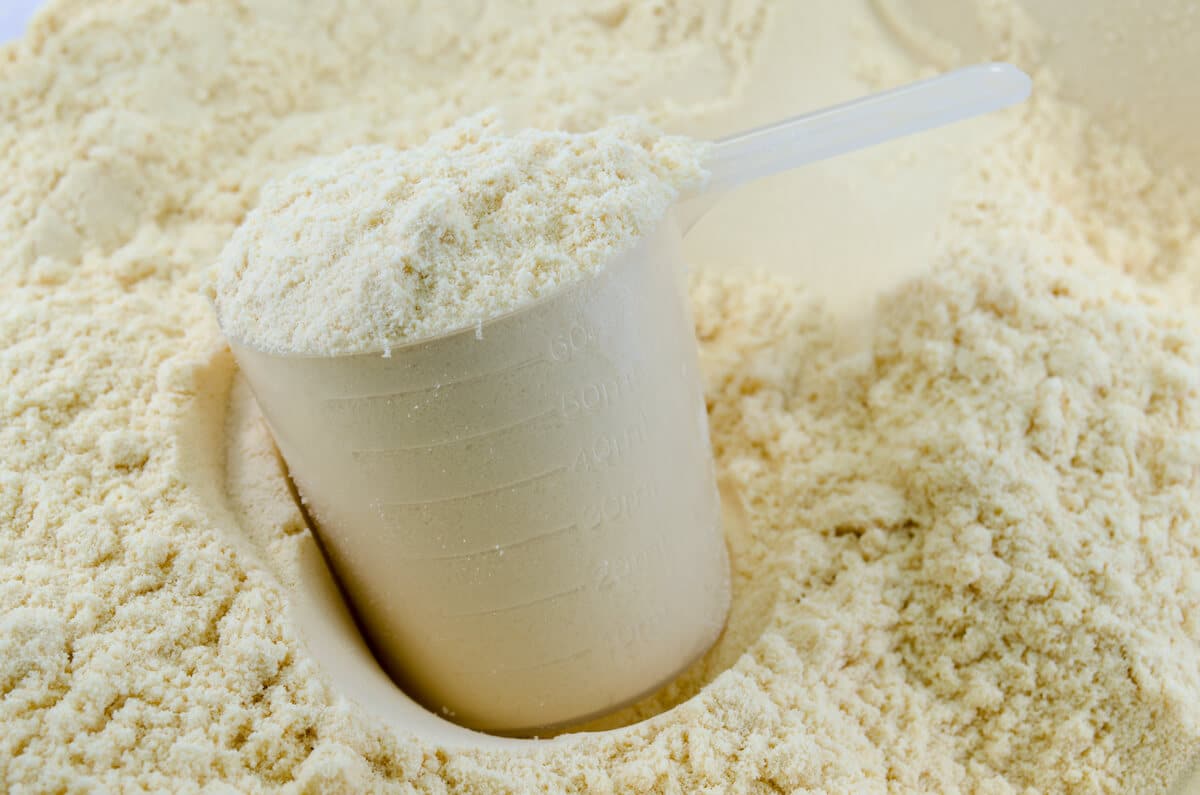 Casein vs whey: scoop of protein powder