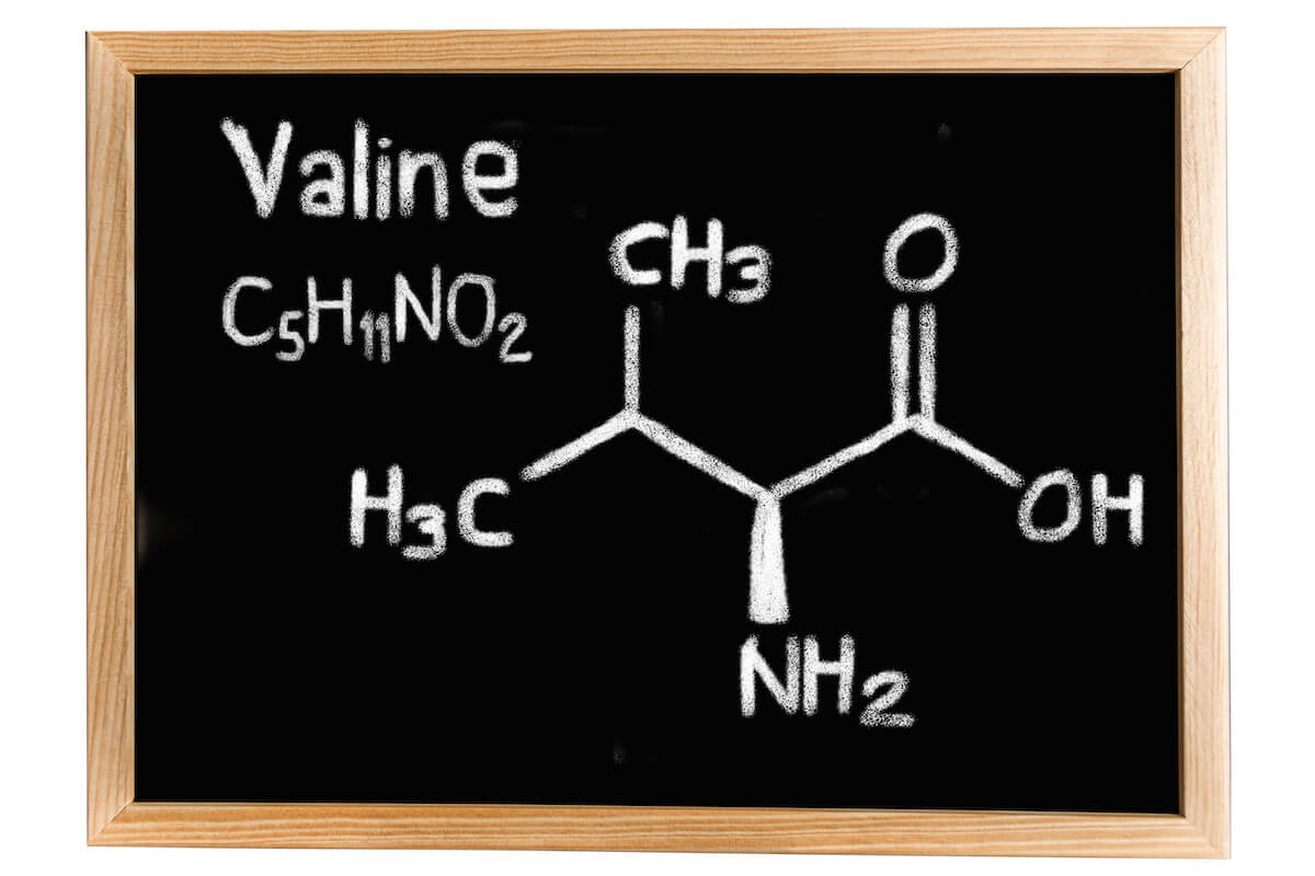 Blackboard with the chemical formula of Valine written on it