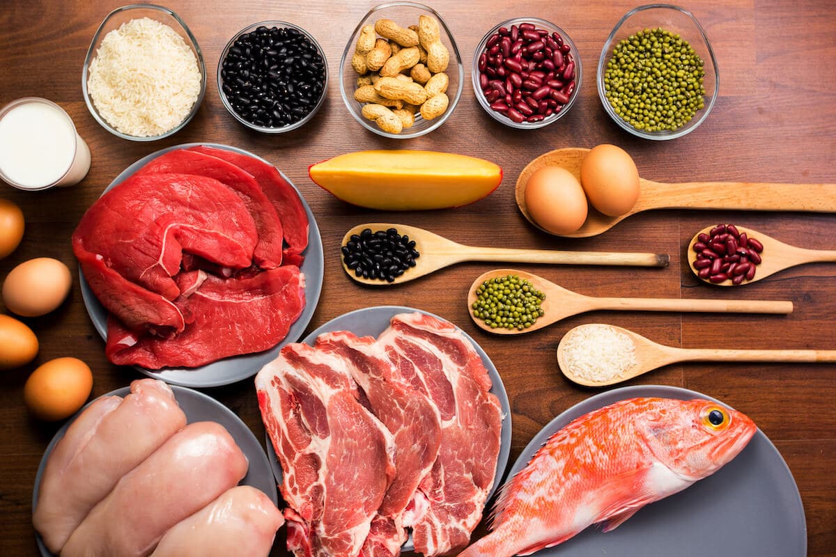 Different types of protein rich food