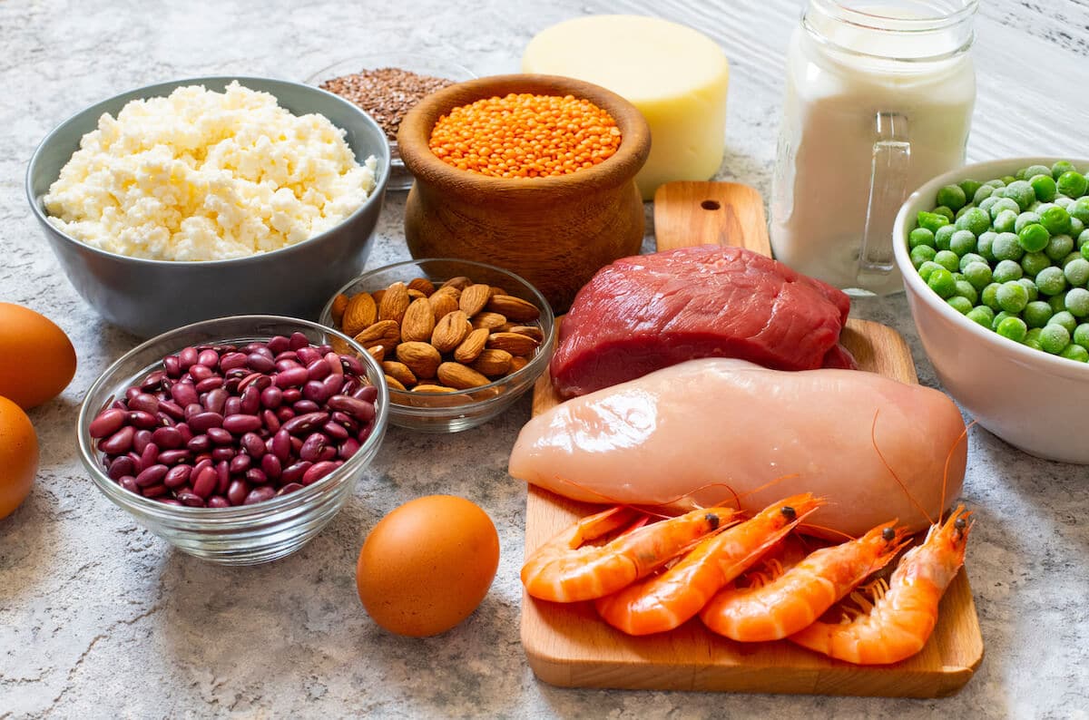 Different types of protein sources