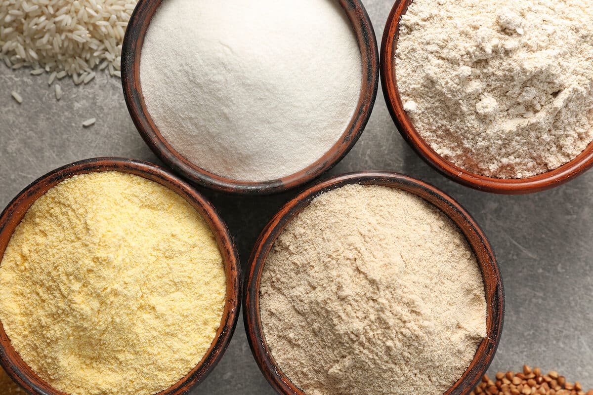 Types of protein powder: bowls with different kinds of protein powder