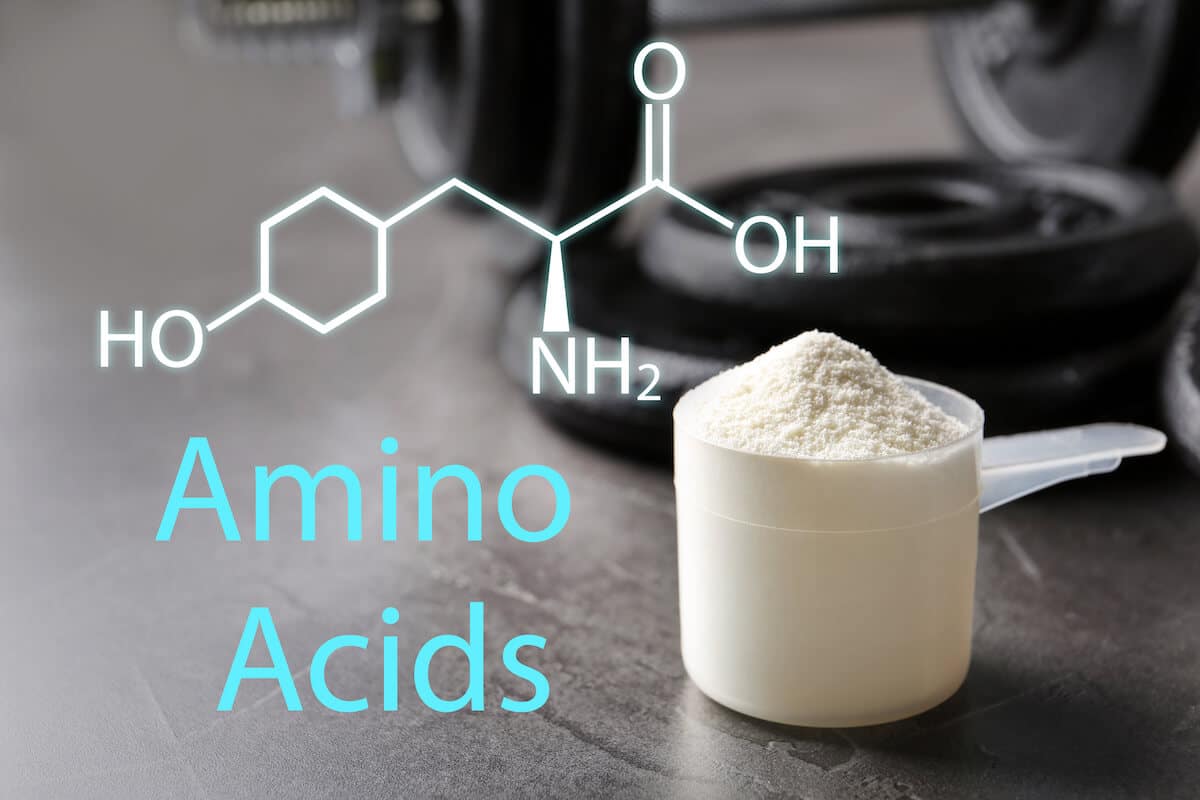 Best amino acids for muscle growth: scoop of Amino Acids