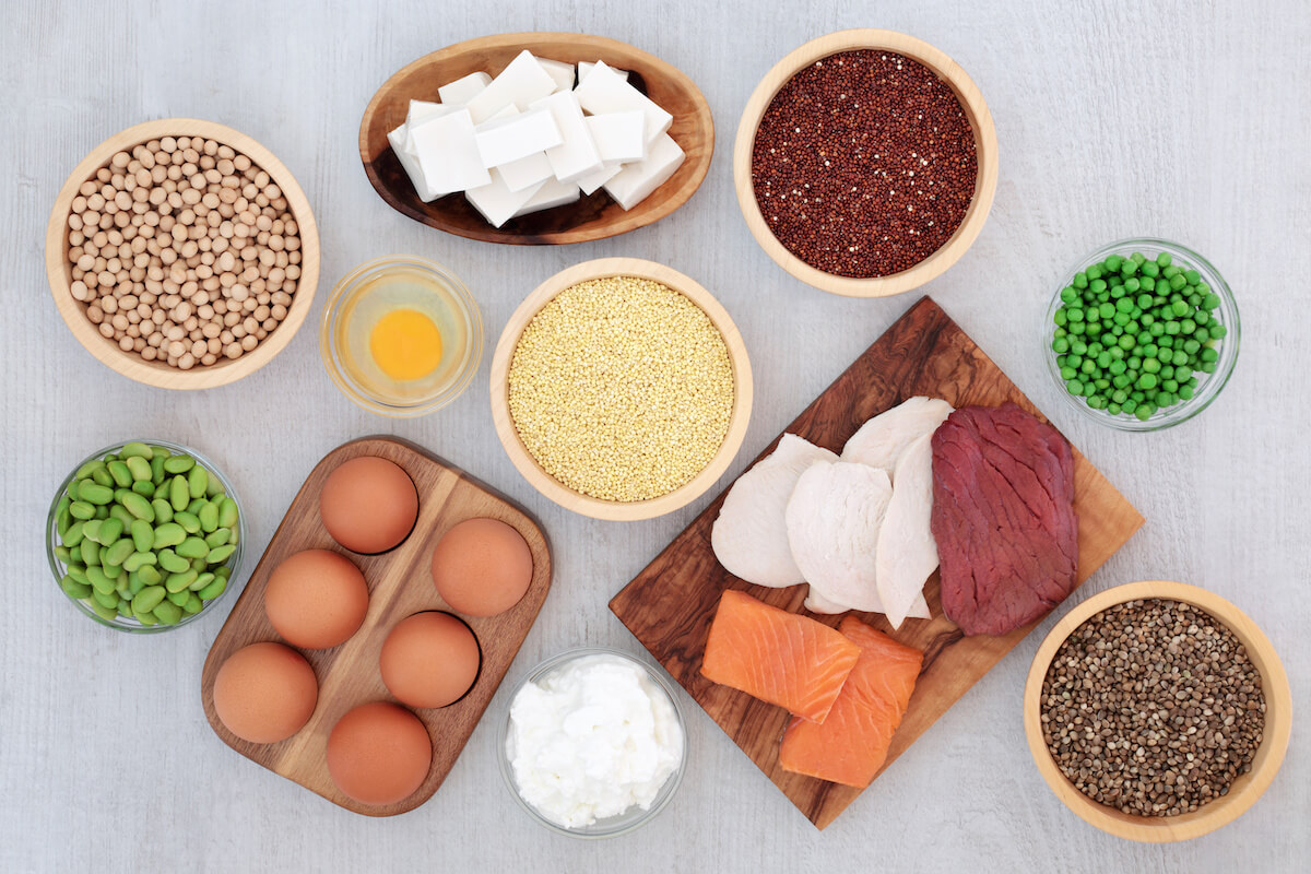 Different types of protein rich food