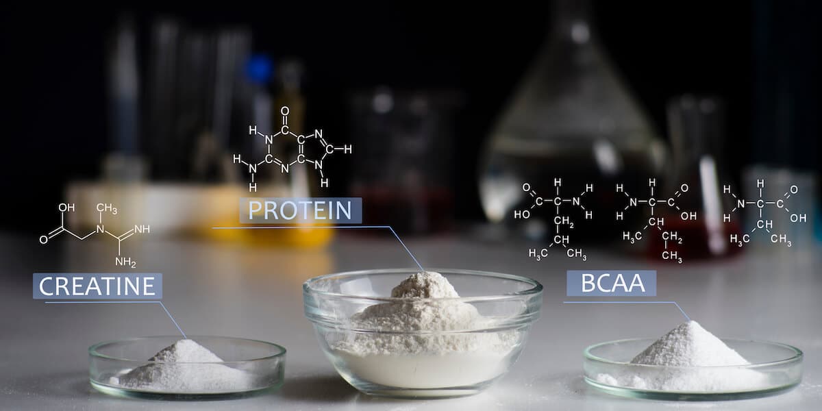 Creatine, protein, and BCAA powder in separate bowls