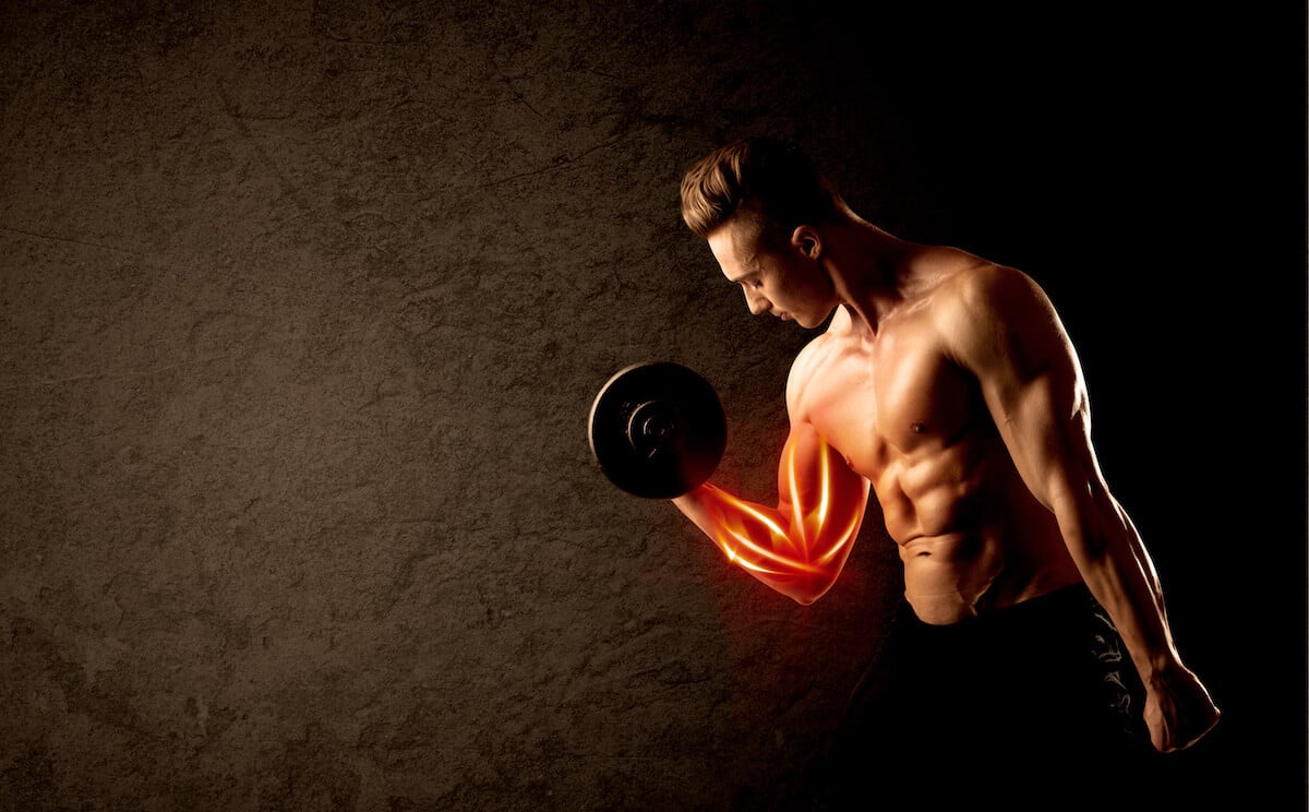 How much protein to build muscle: man doing the bicep curls using a dumbbell