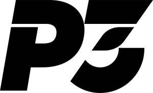 P3